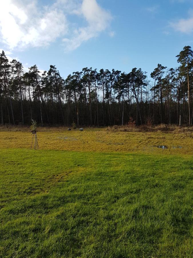 Sonnenstrahl Im Kuestenwald Gelbensande Exteriör bild