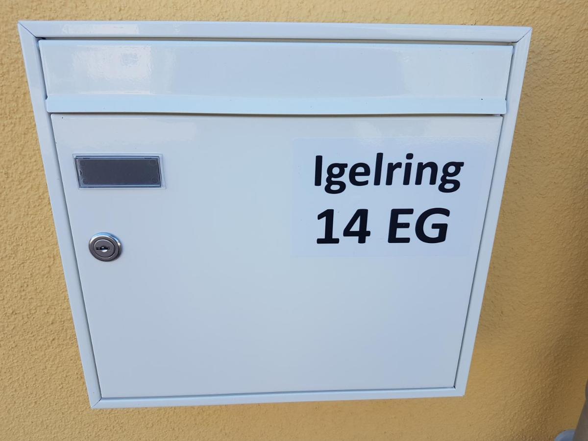 Sonnenstrahl Im Kuestenwald Gelbensande Exteriör bild